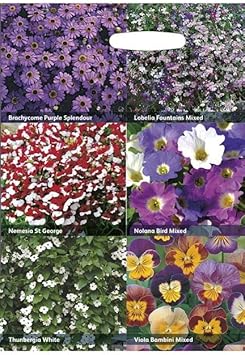 RHS Flowers for Hanging Baskets 6 Varieties Seed Collection : Amazon.co ...