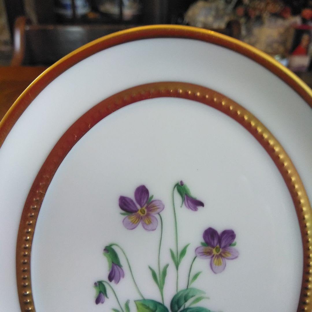 アウガルデン アウガルテン メドウフラワーズ（6314V）飾り皿 すみれ