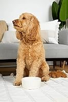 Vista 2 de Waggo Ripple - Tazón de cerámica para perros para razas medianas y grandes, moderno con acabado mate, plato pesado y duradero para alimentos y agua