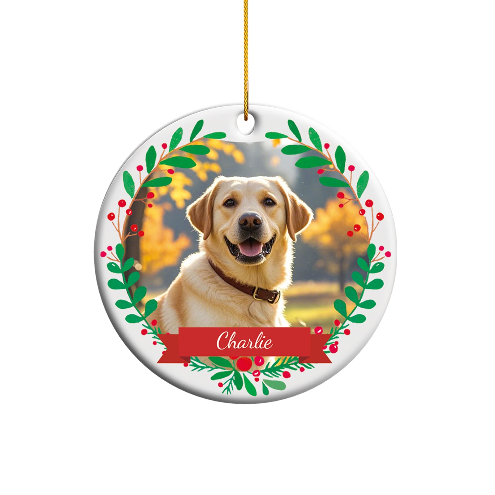 ALBK Personalised Photo Christmas Bauble - Custom Cat Ornaments for Christmas Trees, Cat Lovers Keepsake — image 1