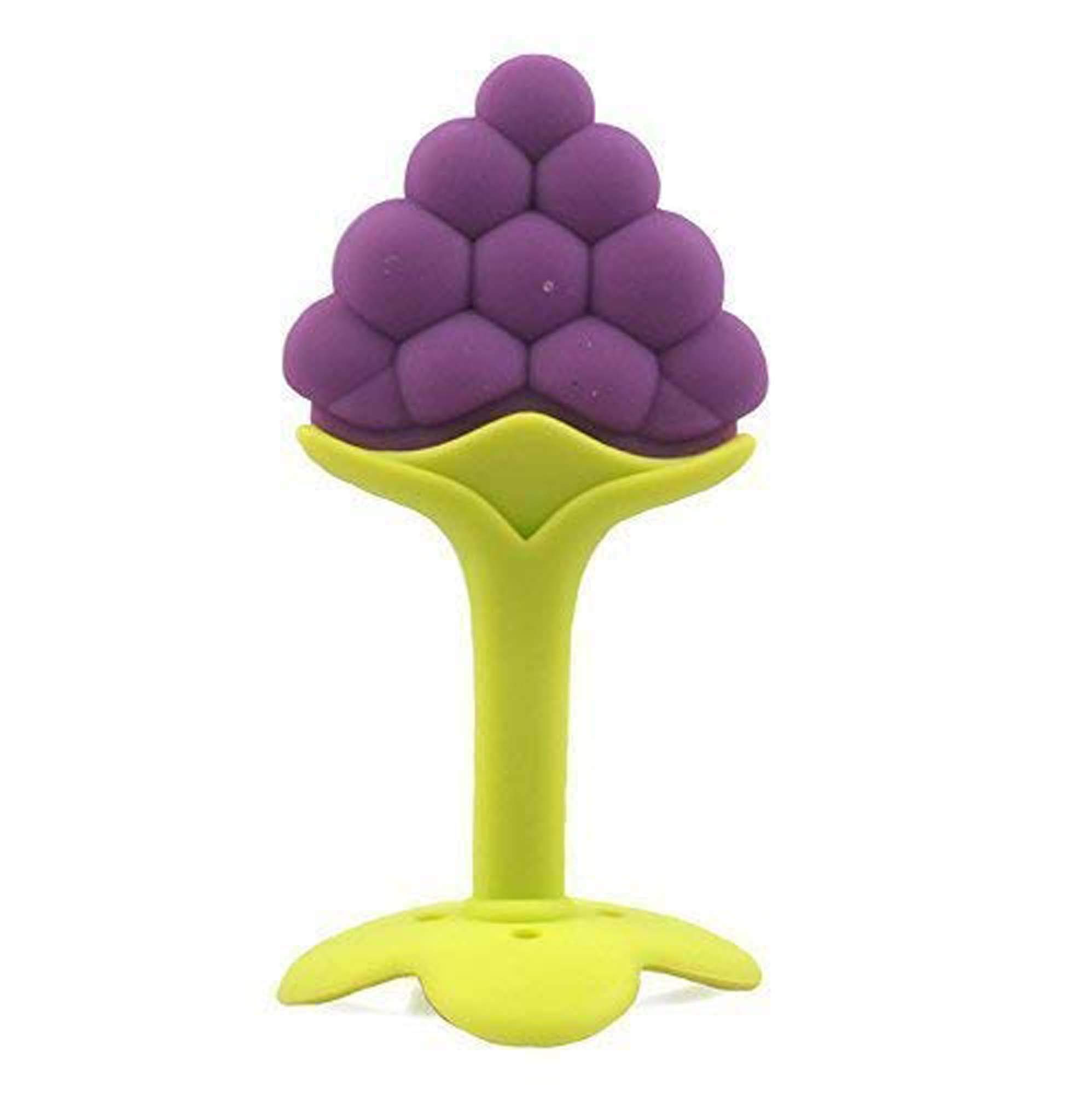 Ole Baby® BPA Free Grapes Shape Food Nibbler/Feeder/Silicon Dental Care Teether or Fruit Teether Age 6-12 Months
