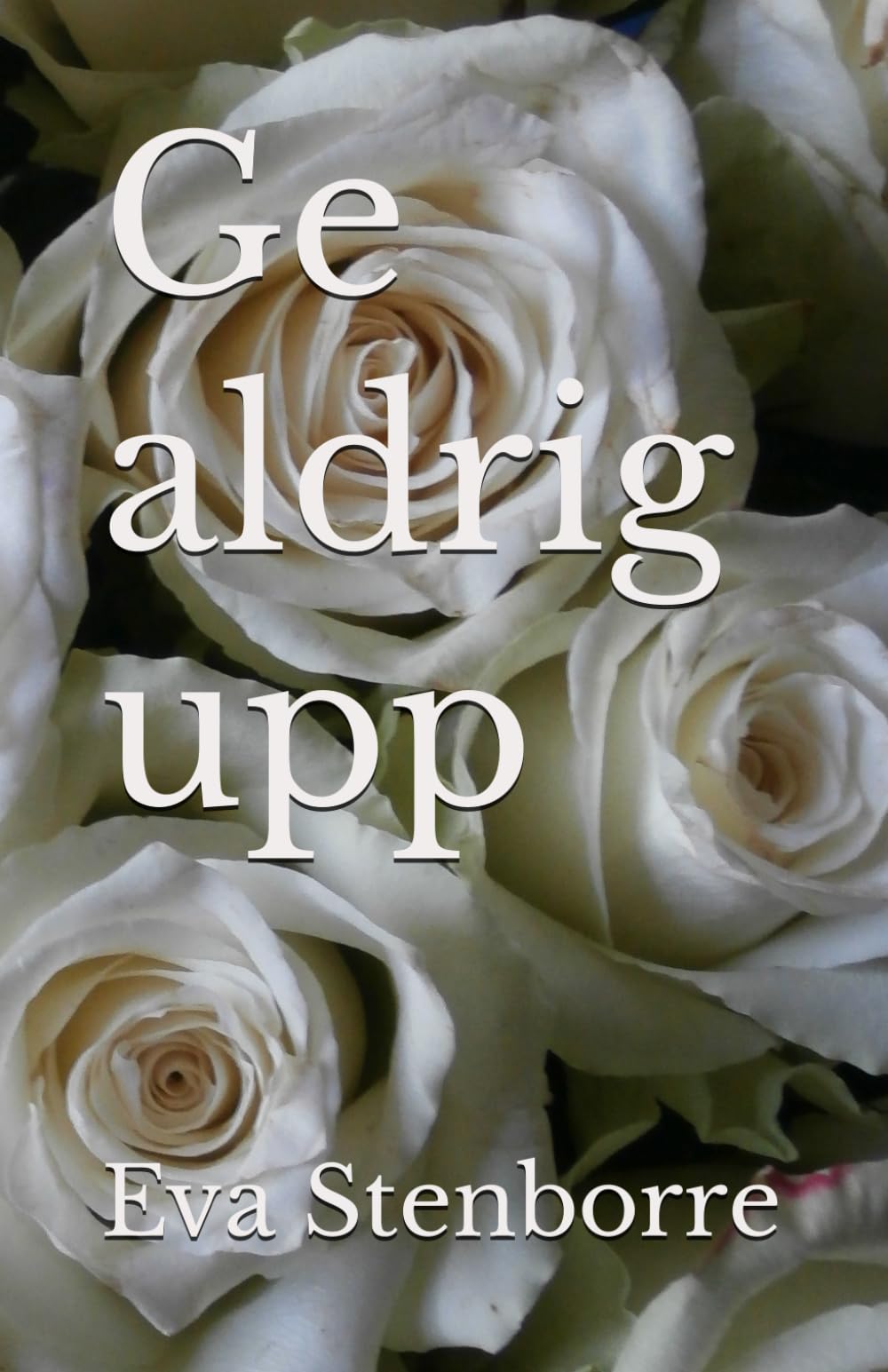 Ge aldrig upp
