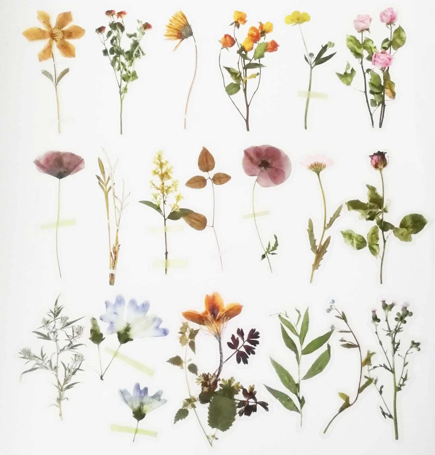 Donlaone フレークシール 最大95 オフ 花 植物 透明 コラージュ 素材 おしゃれ かわいい デコシール 手帳用 40枚セット ステッカー Tawany