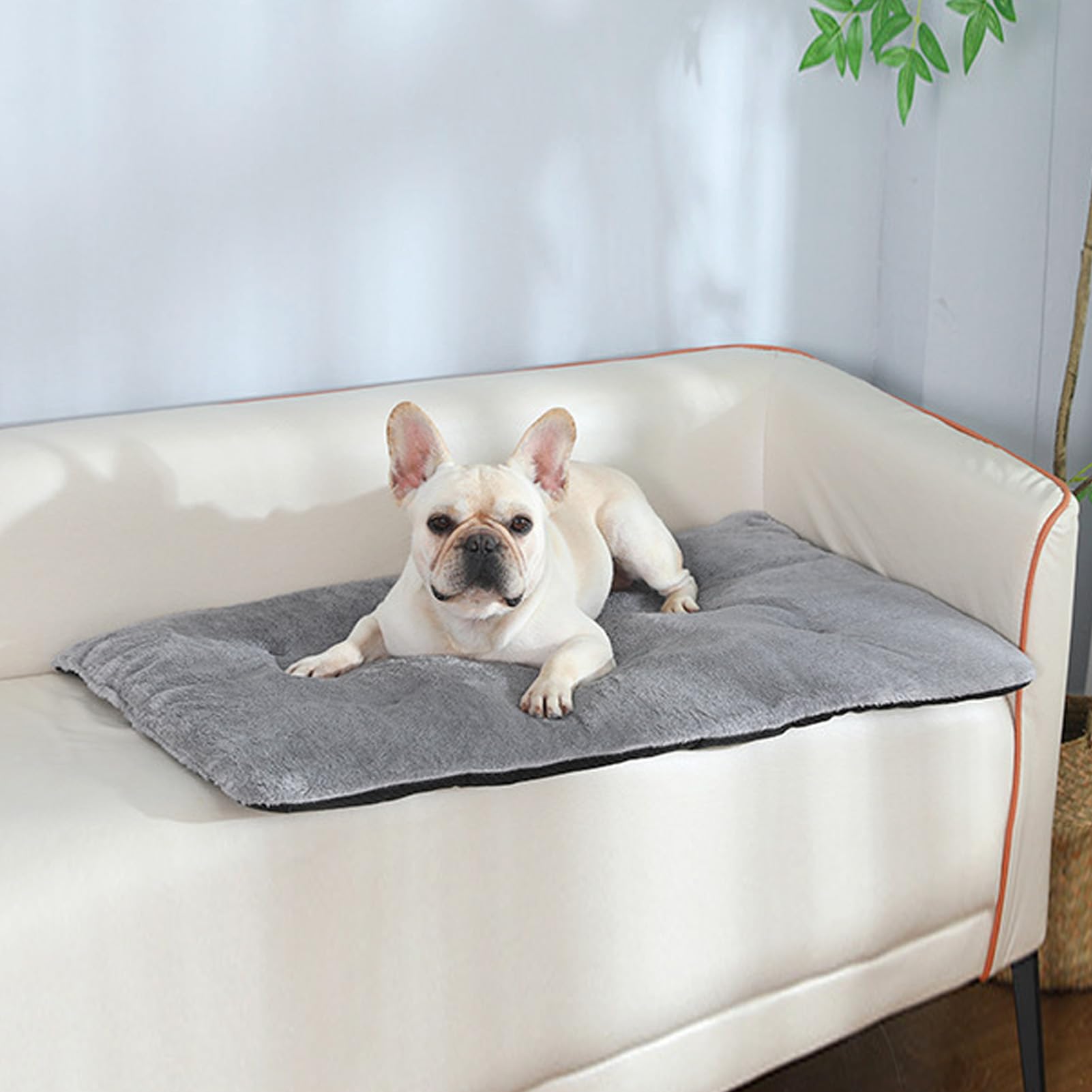 Jenngaoo Selbstheizende Wärmedecke für Hunde Katzen, Weiche Hautfreundliche Tierheizmatte, Tragbare Waschbare Wärmematte für Innen und Außen (Silver Gray XL)