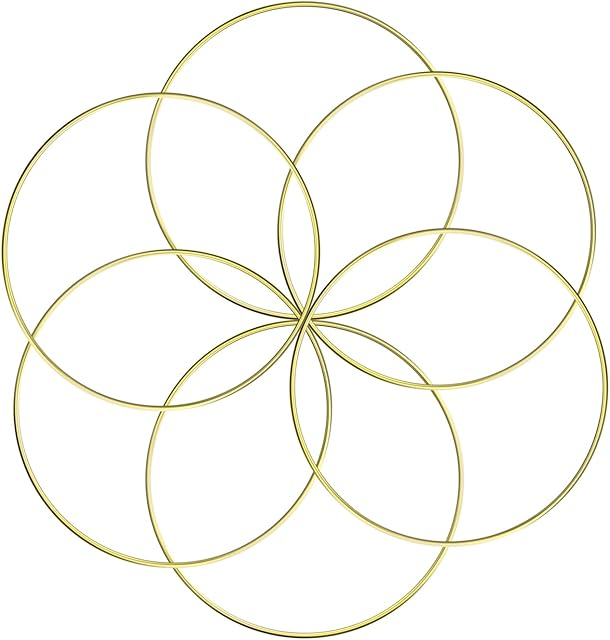 ABOAT Set of 6 Dream Catcher Metal Rings, Macrame Ring for Dream Catcher and Crafts, Gold, 6 Inch