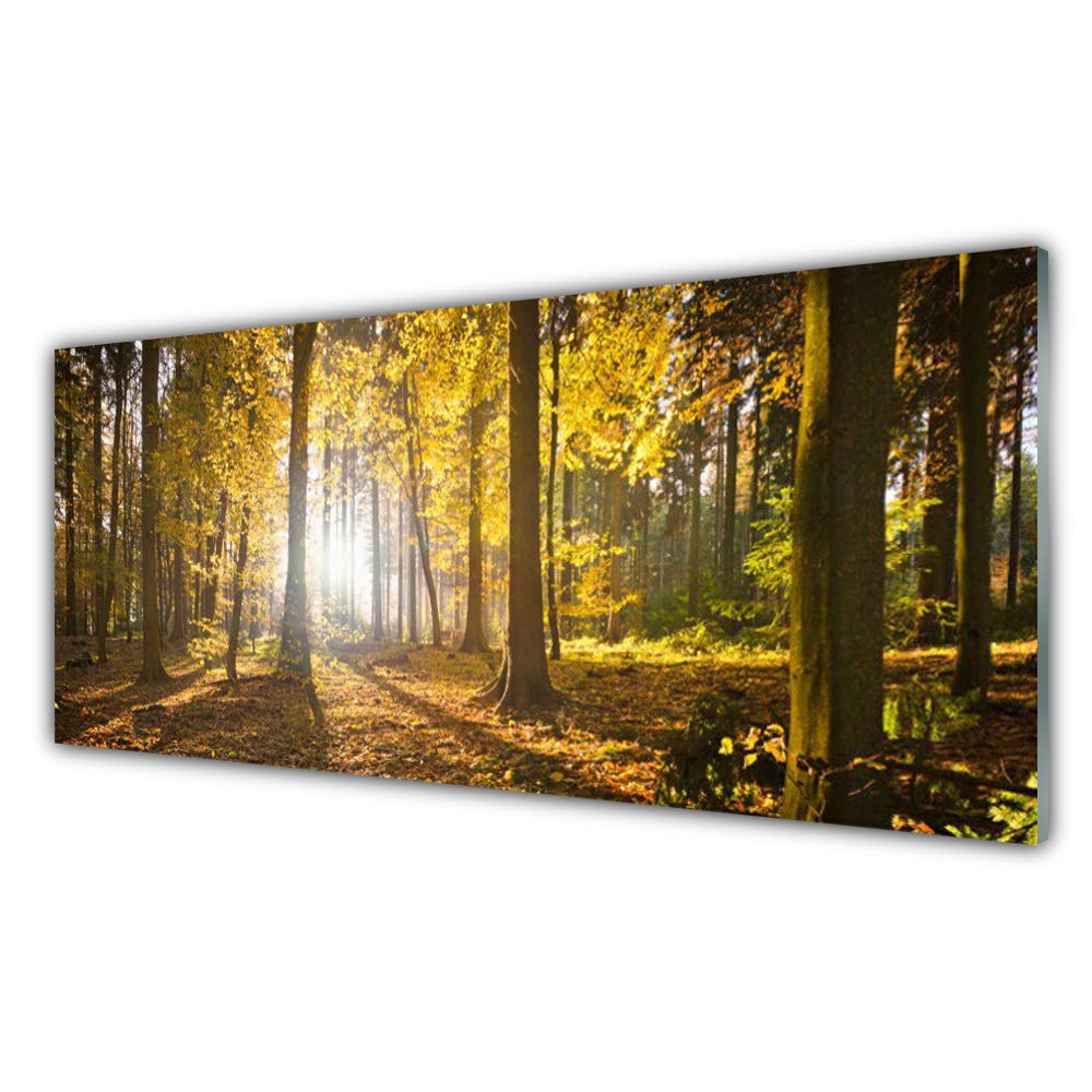 Tableau mural moderne nature forêt en verre acrylique pour salon