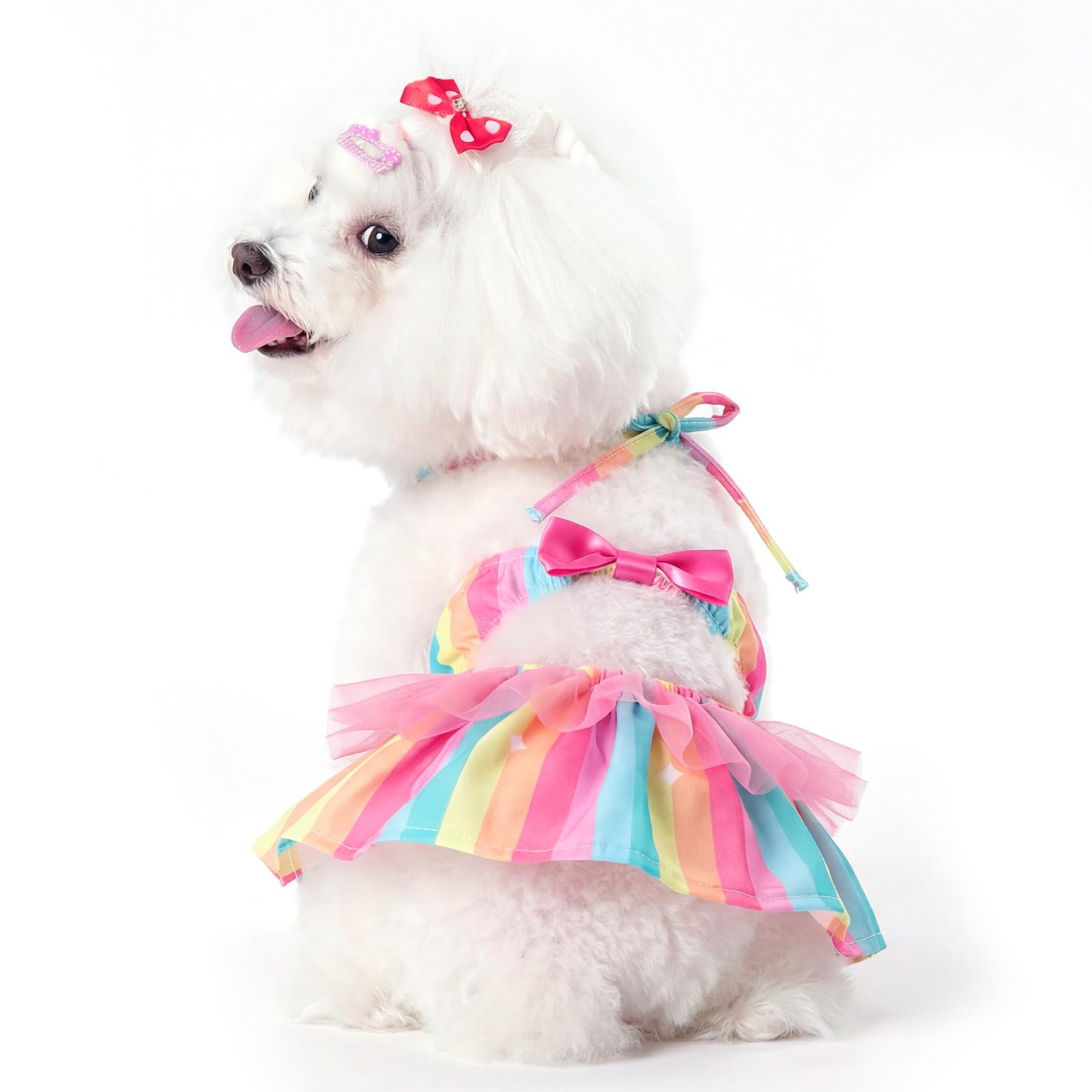 CuteBone One Piece Dog Bikini Swimsuit Dress - Puppy Bathing Suit Costume for Small Dogs - Comfortable &amp; Stylish Pet Clothes for Summer Pool, Beach &amp; Play LTDB09XS