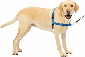 PetSafe Easy Walk Harness: Gentle Guidance for Your Canine Companion