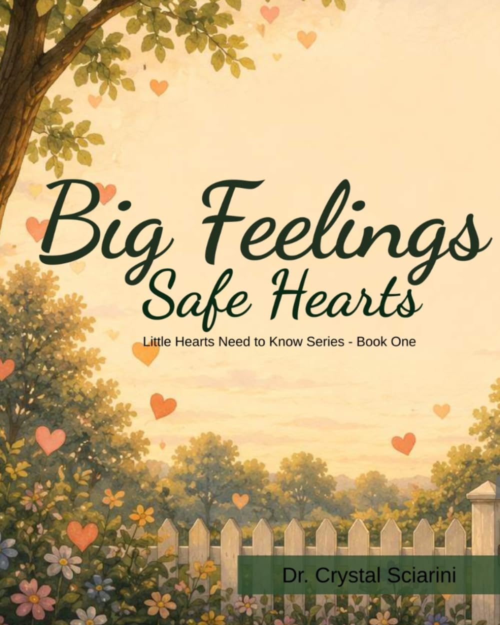 Big Feelings, Safe Hearts: Little Hearts Need to Know Series - Book One: 1