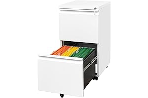 White 2 Drawer Mobile File Cabinet For Your Office