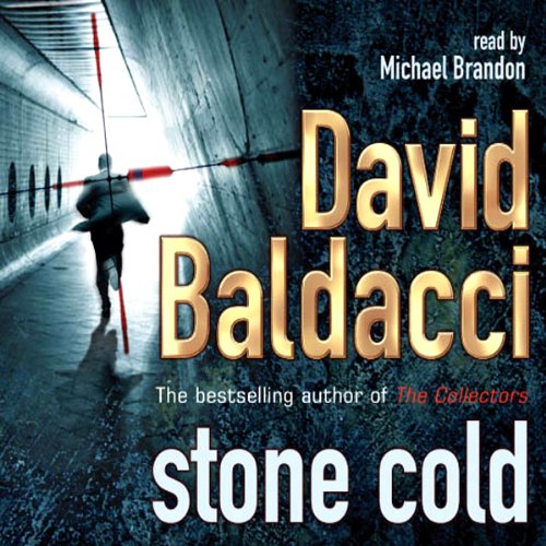 Cover art for Stone Cold: Camel Club, Book 3