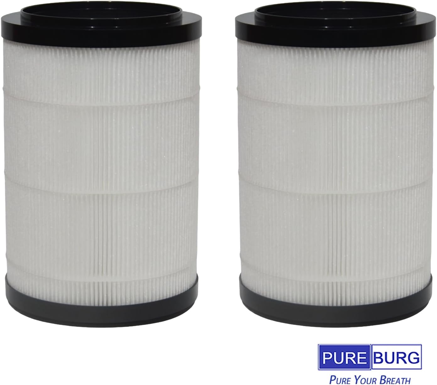 PUREBURG Replacement Filter Compatible with Dayette AP202 Air Purifier,2-Pack H13 HEPA Air Clean Dust VOCs Odor