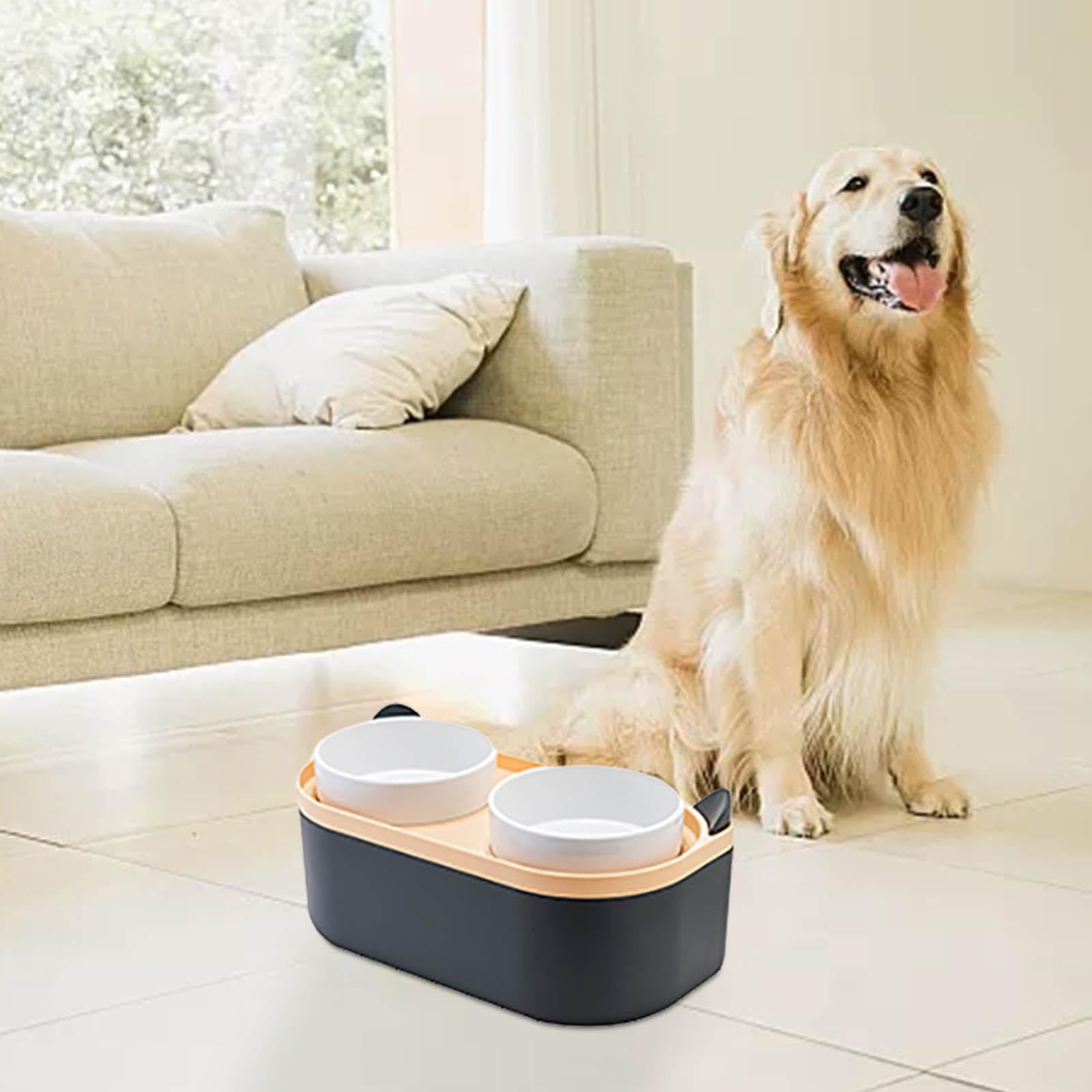 Accessoires de pour chien – Gamelle pour chiot ¦ Station
