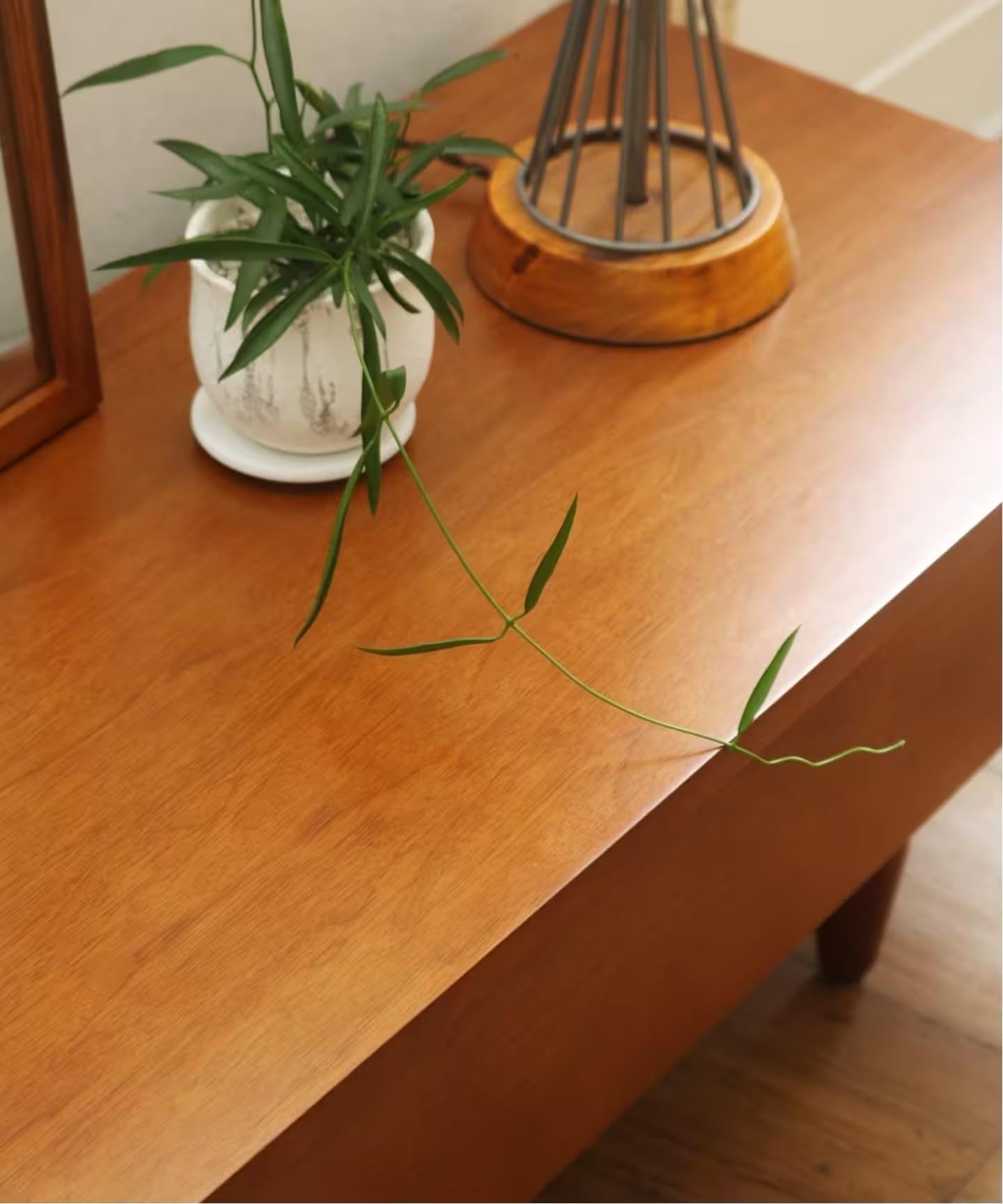 Amazon.co.jp: ACME Furniture TRESTLES TV-BOARD LOW 160cm テレビ台 