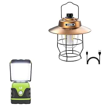 Amazon.com: Lighting EVER Bundle - 2 Items: Lepro Vintage