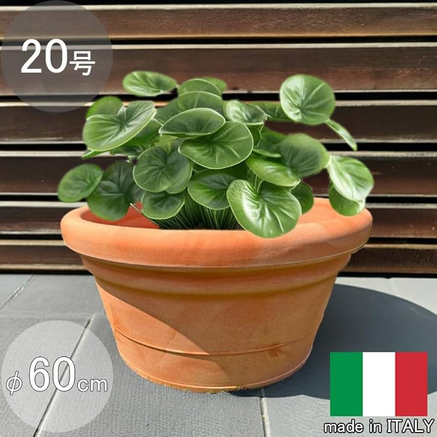 Amazon.co.jp: イタリア製 プランター ペドロ φ60cm H31cm 20号
