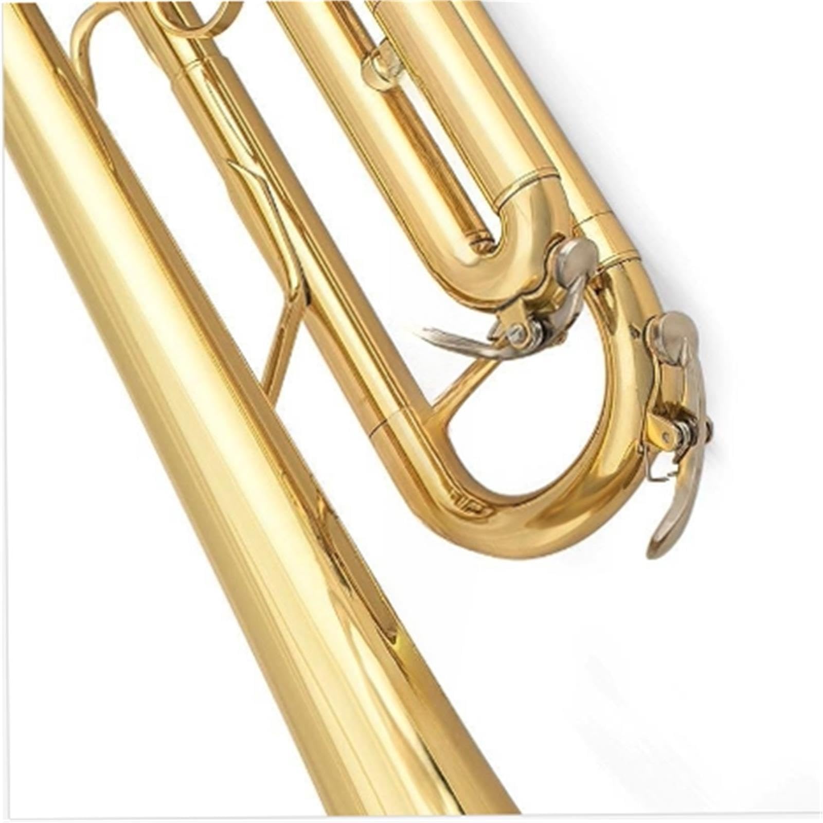 Professional Trumpet Trompeta en si bemol para principiantes