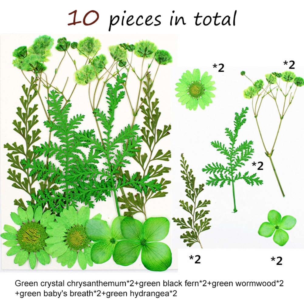 Surakey Dried Flowers for Resin, 10 pcs Natural Flowers and Leaves Compressed, Vacuum Packed DIY Pressed Flowers for Epoxy, Jewelry, Candles, Soap, Nail Production, Greeting Making, 4 Packs Style 10