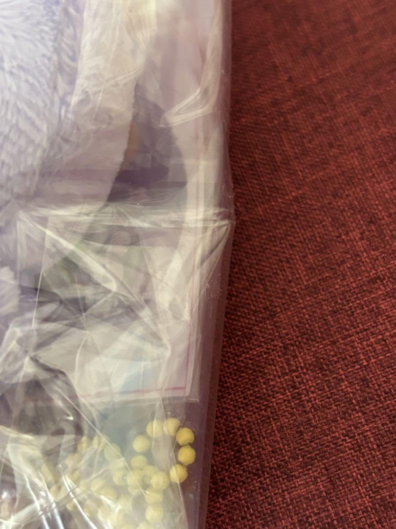 TXT 10cmドール ポバトゥ 5人分セット txt ぬいぐるみ ポバトゥ 10センチ 新品 テヒョン ヨンジュン