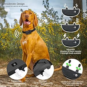 Electric Wireless Dog Fence System Electric Fence for Dogs Training Collar Wremote 2in1 Dog Containment Fence Adjustable Vibrationshock Rechargeable Pet Fence for Small Medium Large Dogs  Cucciolini Doodles Electric wireless dog fence system electric fence for dogs training collar wremote 2 in 1 dog containment fence adjustable vibrationshock rechargeable pet fence for small medium large dogs   cucciolini doodles