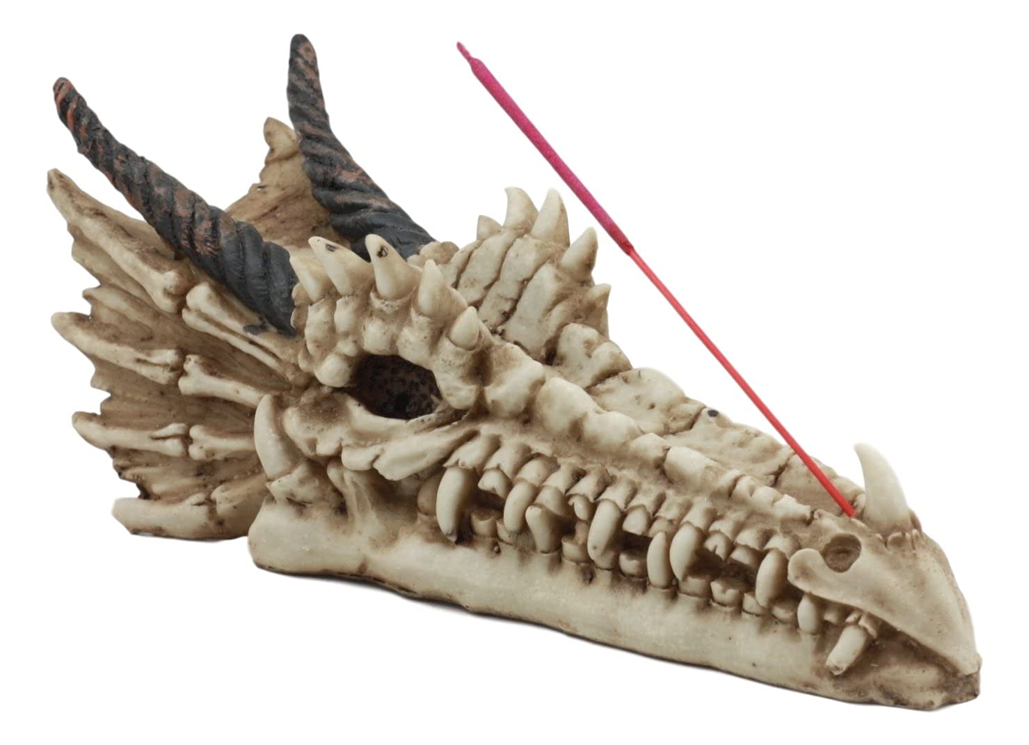 Amazon.co.jp: Ebros 中世ゴシックドロゴン 古代化石ドラゴン