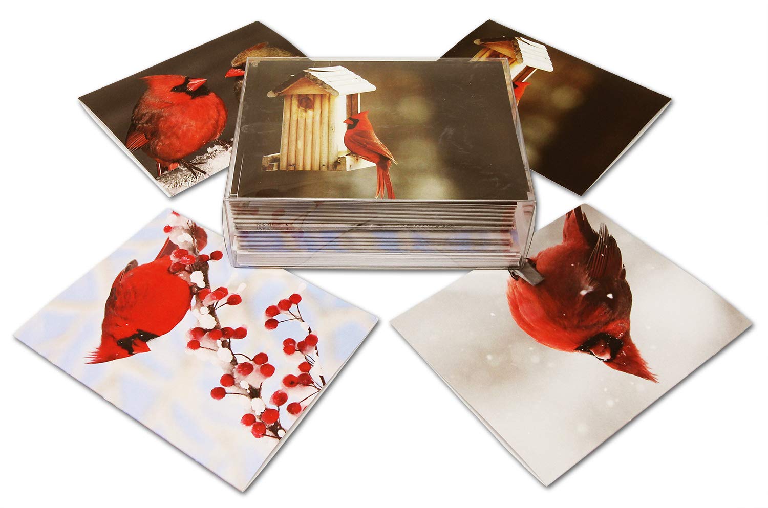 Red Cardinal Note Card, Cardinal Greeting Card, Bird Card, Blank Card