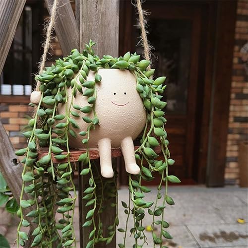 Miniatura 5 de Maceta colgante con cara oscilante, maceta sonriente colgante para plantas de interior y exterior, suculentas, cadena de perlas, bonito regalo