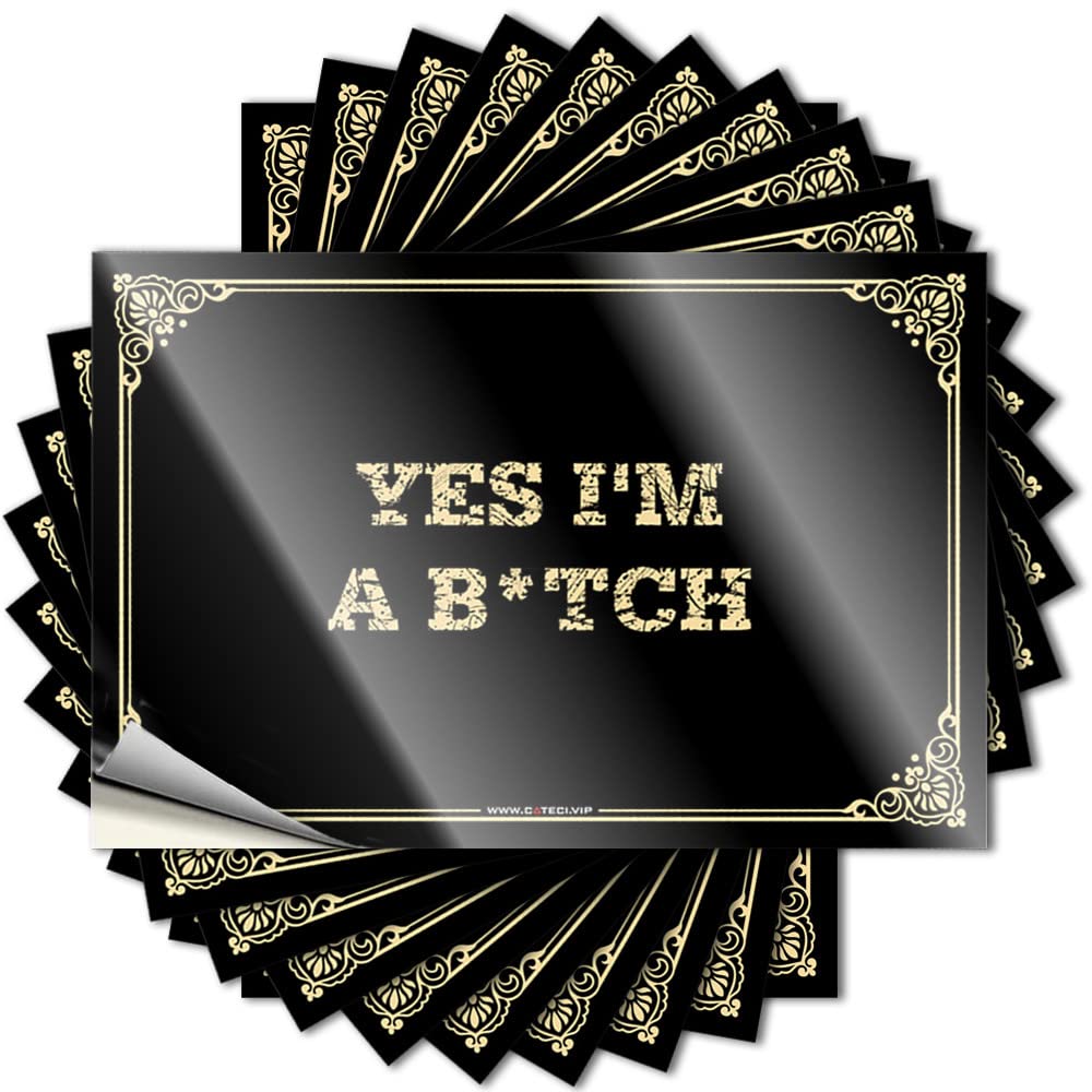 Decals Farm Easy Apply | Yes I'm A B*tch Fuzzy Cover Peel and Stick(8X12CM)