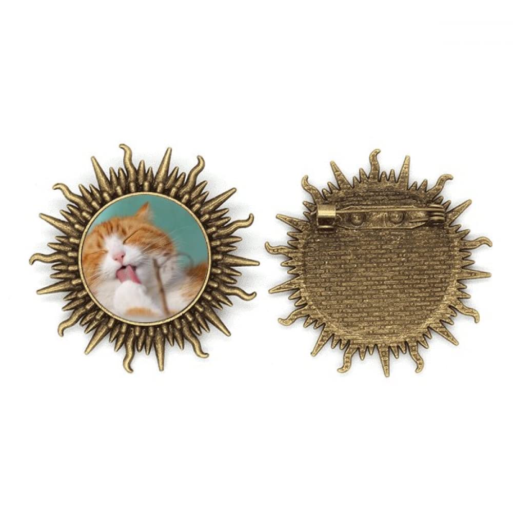 Pin de metal para lamer gatos que decora ropa sin dañarla 4