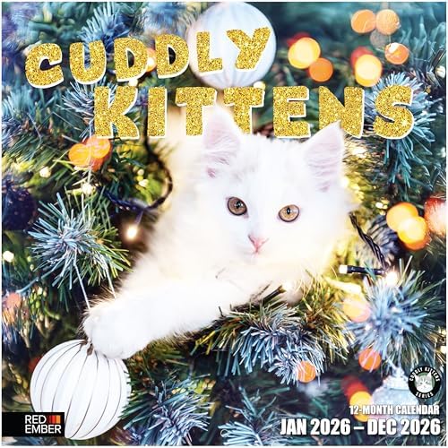 RED EMBER Cuddly Kittens 2026 Wall Calendar 12 Month | 12" x 24" Open ...