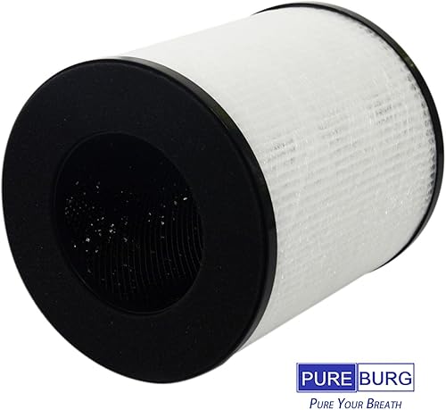 Miniatura 2 de PUREBURG Filtro de repuesto compatible con Tredy TD-1300, Tenergy Renair, Cool-Living CL-6070A, purificador de aire BEABA HEPA, carbón activado HEPA