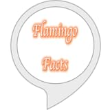 フラミンゴファクト