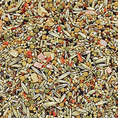 Hagen B2791 Gourmet Seed Mix for Budgies, 1 Kg 2.2-Pound - Image 5