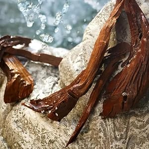 Dolce&Gabbana Light Blue, Eau De Toilette Spray, For Women