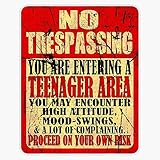 13 Years Old Birthday Gift Warning Official Teenager Vinyl Sticker Waterproof Bumper Sticker Laptop Window 5'