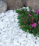 Maalavya Natural Chips Size 5 MM Approx. Uneven Shape (White, 1 Kg)