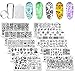 Nail Art Stamping Plate Kit Biutee Stamp for Nails Jelly Stamper Scraper Plate for Nail Art Design Halloween Holiday Flower Animal Leaves DIY Manicure Salon 10 pcs Template
