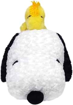 61FpCipucfL._AC_UF350,