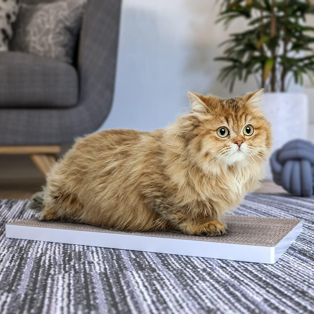 review Way Basics Premium Cat Scratcher Pad with Silvervine Catnip - Reversible zBoard Lasts 5X Longer