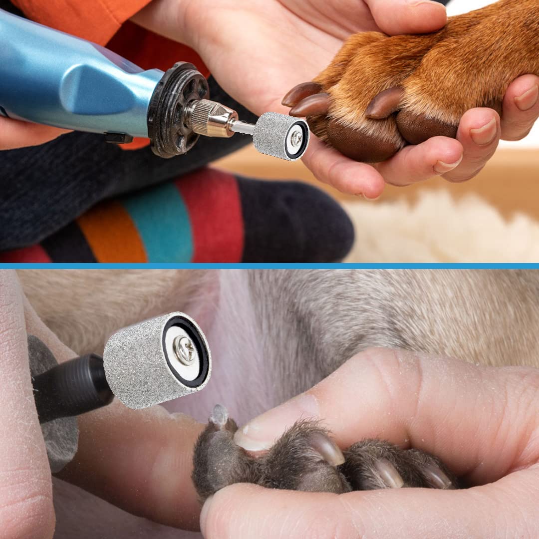2 punte diamantate per smerigliatrice per unghie di cani, grana 120, con 1 mandrino da 1/2", mola diamantata per smerigliatrice per unghie per animali domestici (grana di finitura n. 120)