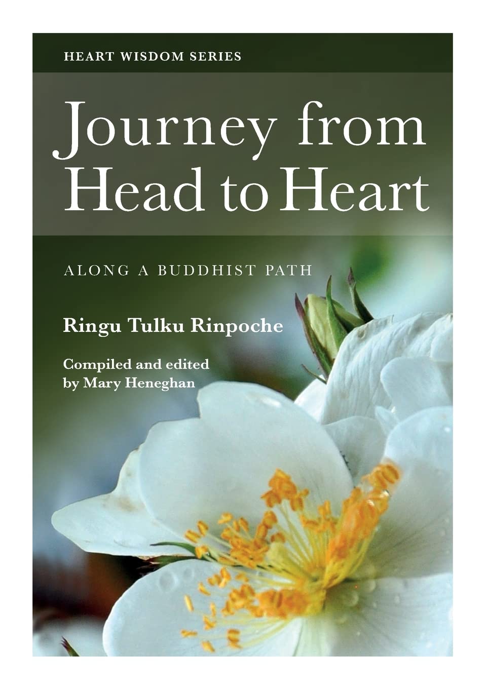 Journey from Head to Heart: Along a Buddhist Path: No. 6 (Heart Wisdom)