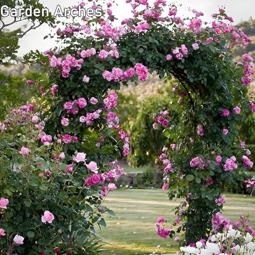 Arco de jardín metálico ajustable blanco de 80 a 350 cm para plantas enredaderas 3