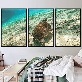 signwin 3 Piece Framed Canvas Wall Art Turtle...