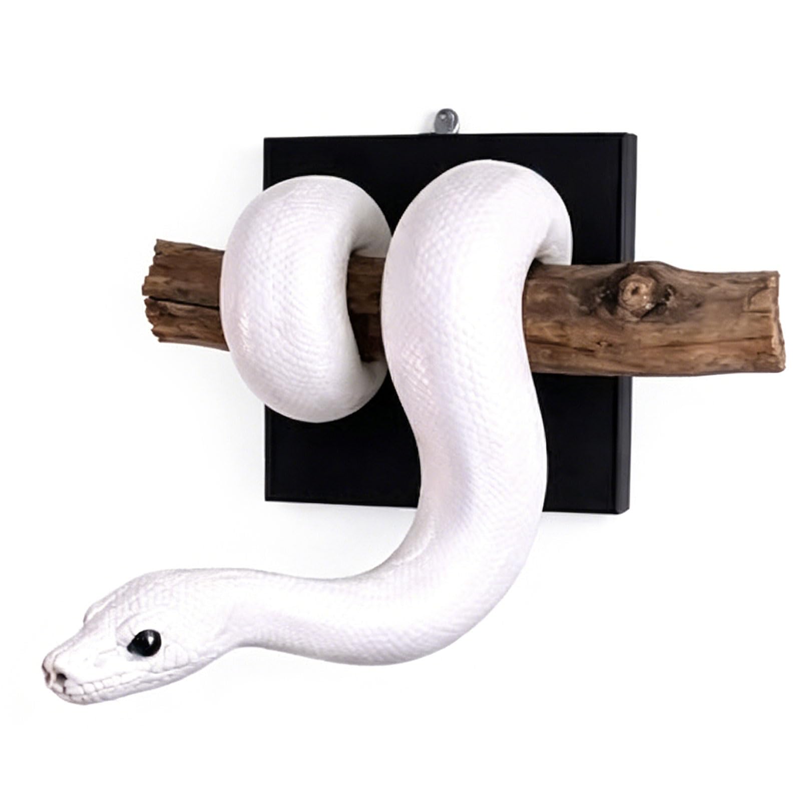 Limtula Ball Snake Sculpture Wall Decoration Hand Painted Resin Animal Statue for Living Room Bedroom and Housewarming Gift Permanent Rosin Decoration