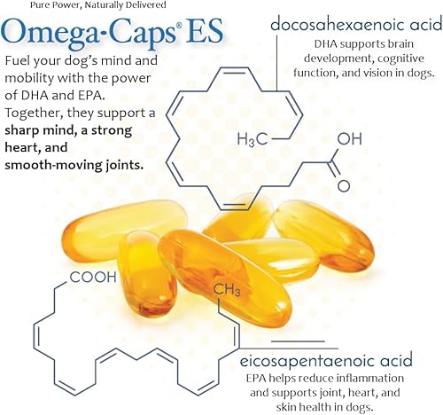 Miniatura 5 de Omega-Caps ES para perros grandes y gigantes - Omega 3, vitaminas, minerales, antioxidantes - Apoya el sistema inmunológico, las articulaciones, el