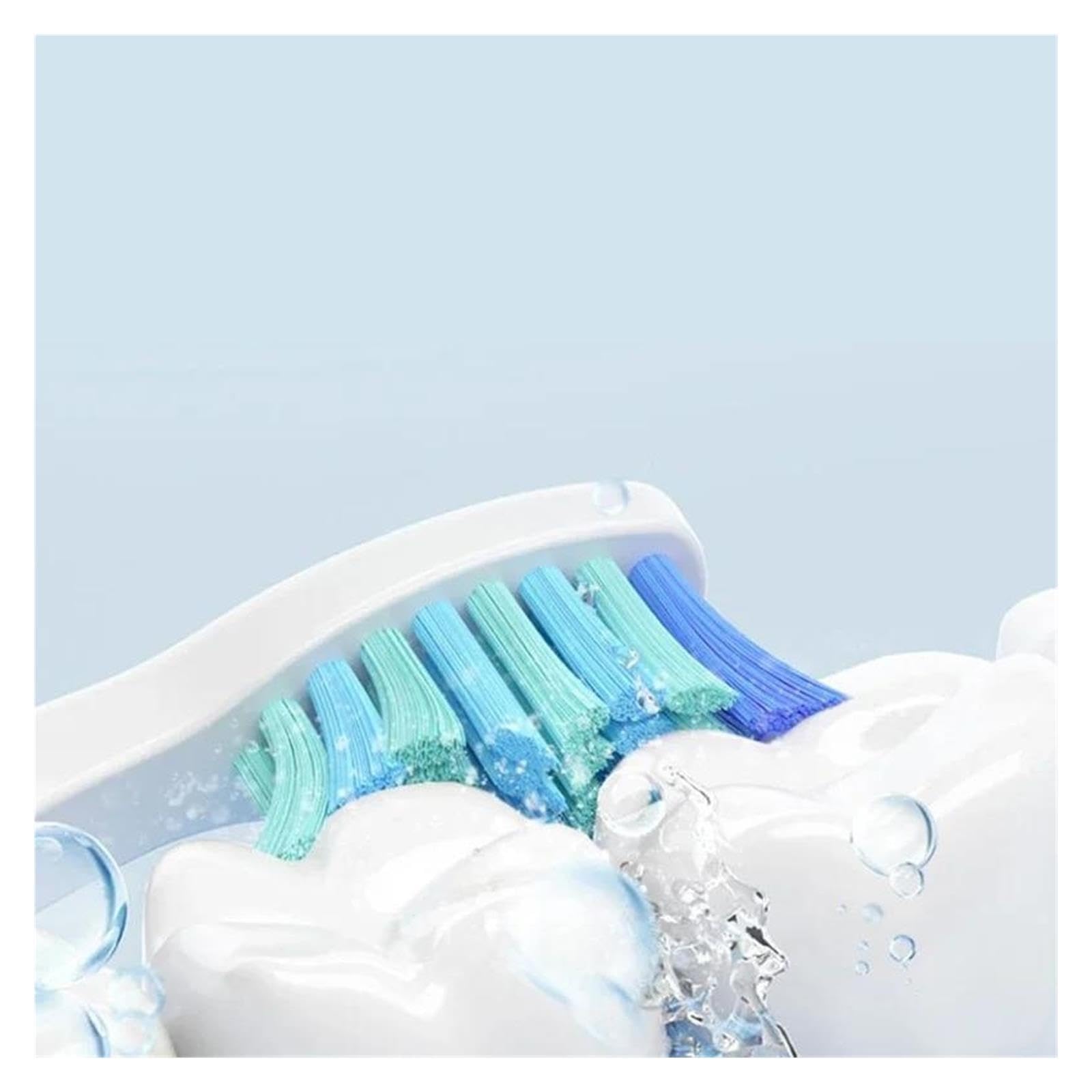Testine Di Ricambio, Compatibile Con Seago, E1/E2/E3/E4