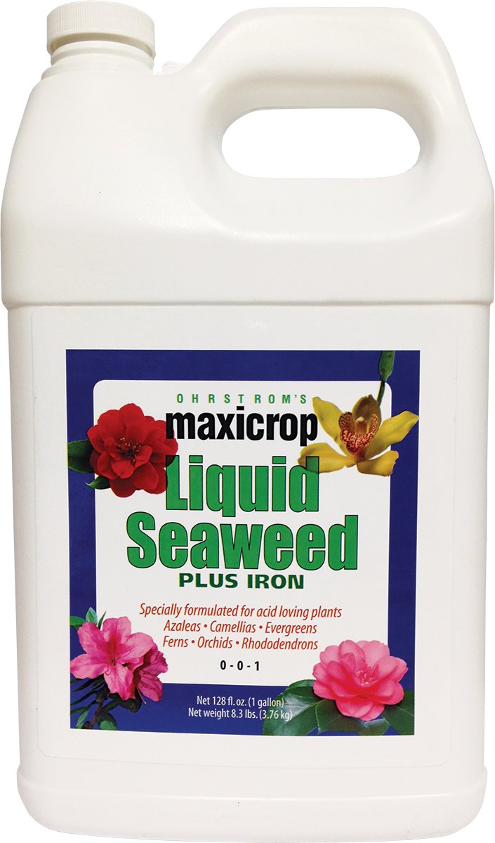 Maxicrop 1-Liter Seaweed Plus Iron
