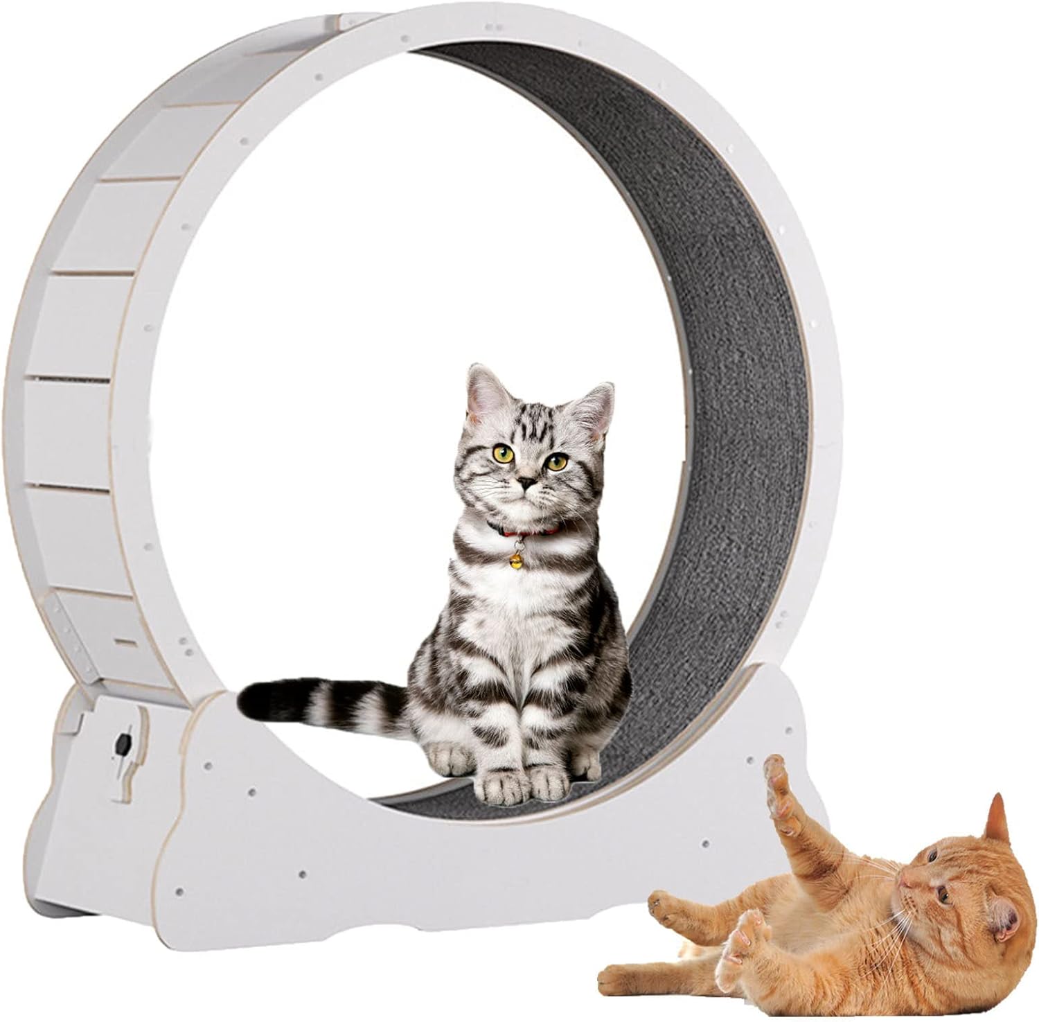 Cat Wheel,Cat Treadmill,Cat Exercise Wheel,Cute Cat Furniture,Pet Toy,Cat Toy,Cats Loss Weight Device,Cat Spinning Wheel,Great for Physical Activity and Reducing Boredom,Black-L