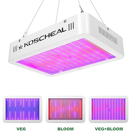grow light veg and bloom
