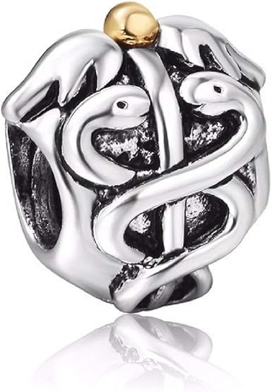 EVESCITY Silver Caduceus Medical Nurse 